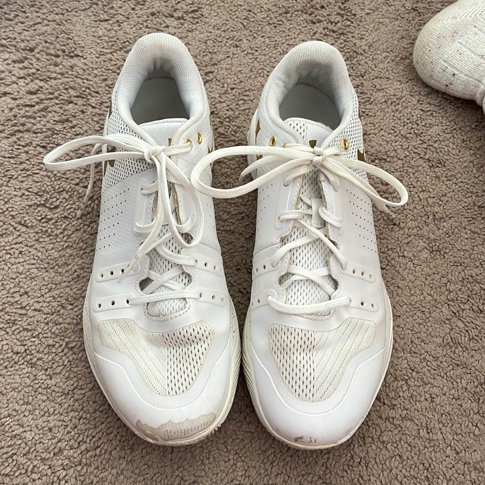 Basketball/Volleyball Shoes